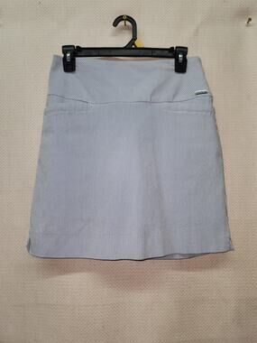 S.C & Co Blue and White Pinstripe Skirt